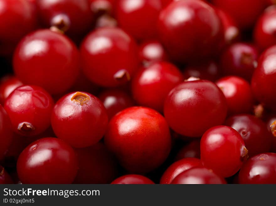 Red Cranberries Background