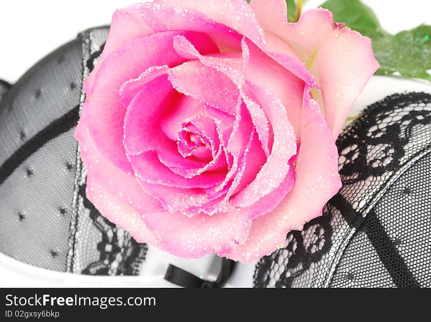 White and black lingerie bra with pink shining rose isolated on the white. White and black lingerie bra with pink shining rose isolated on the white.