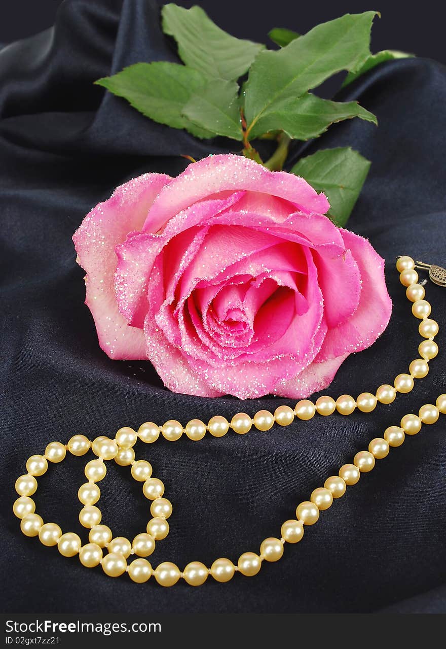 Shining pink Rose with pearls on the sink dark blue background.