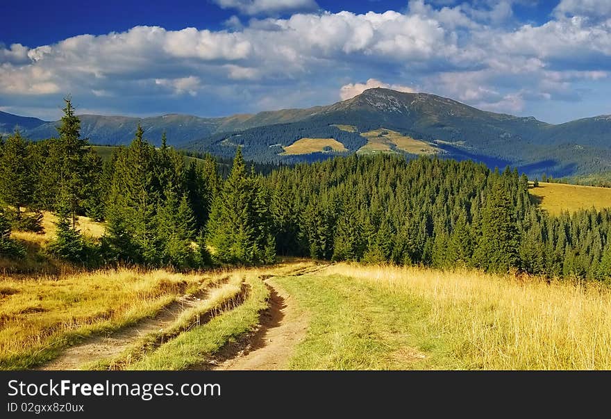 Summer landscape in mountains a sunny day