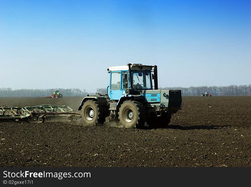 Tractor in the field sow wheat in the spring