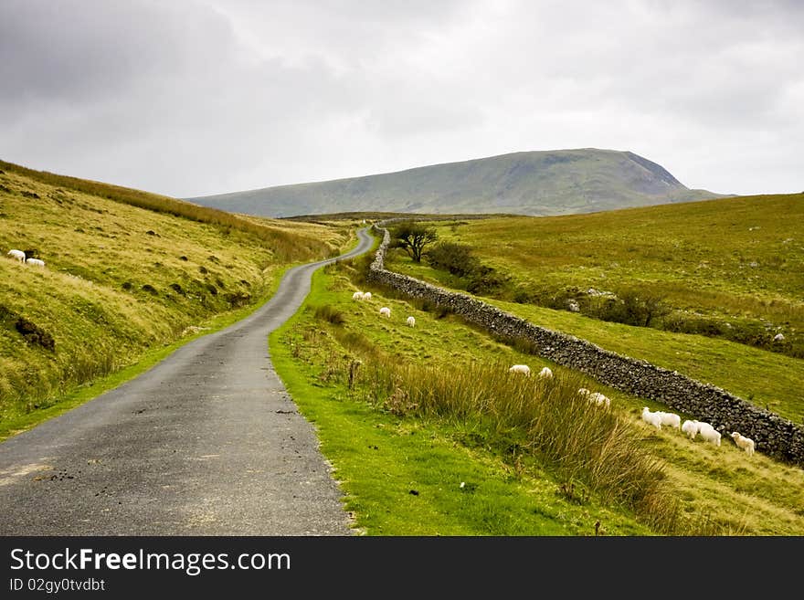 A quiet road which meanders through the welsh hills. A quiet road which meanders through the welsh hills