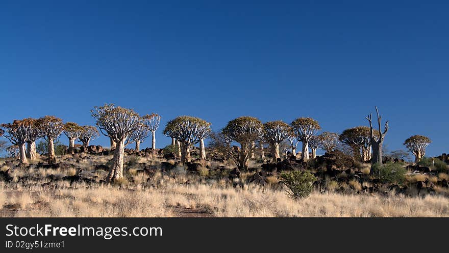 African Landscapes - Namibia.