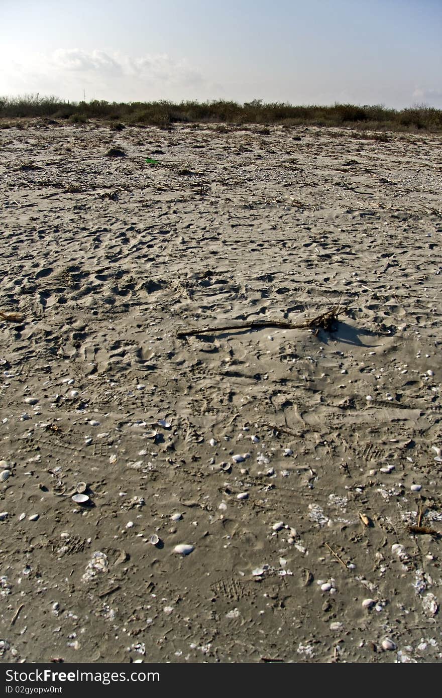 A dirty polluted beach view