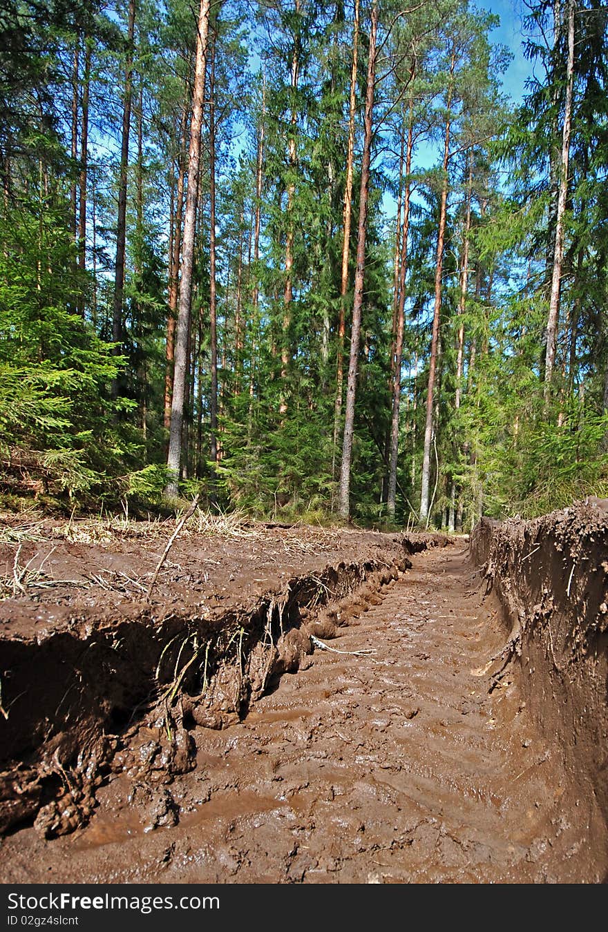 Road after the timber carrying vessel. The nature after human intervention. Road after the timber carrying vessel. The nature after human intervention