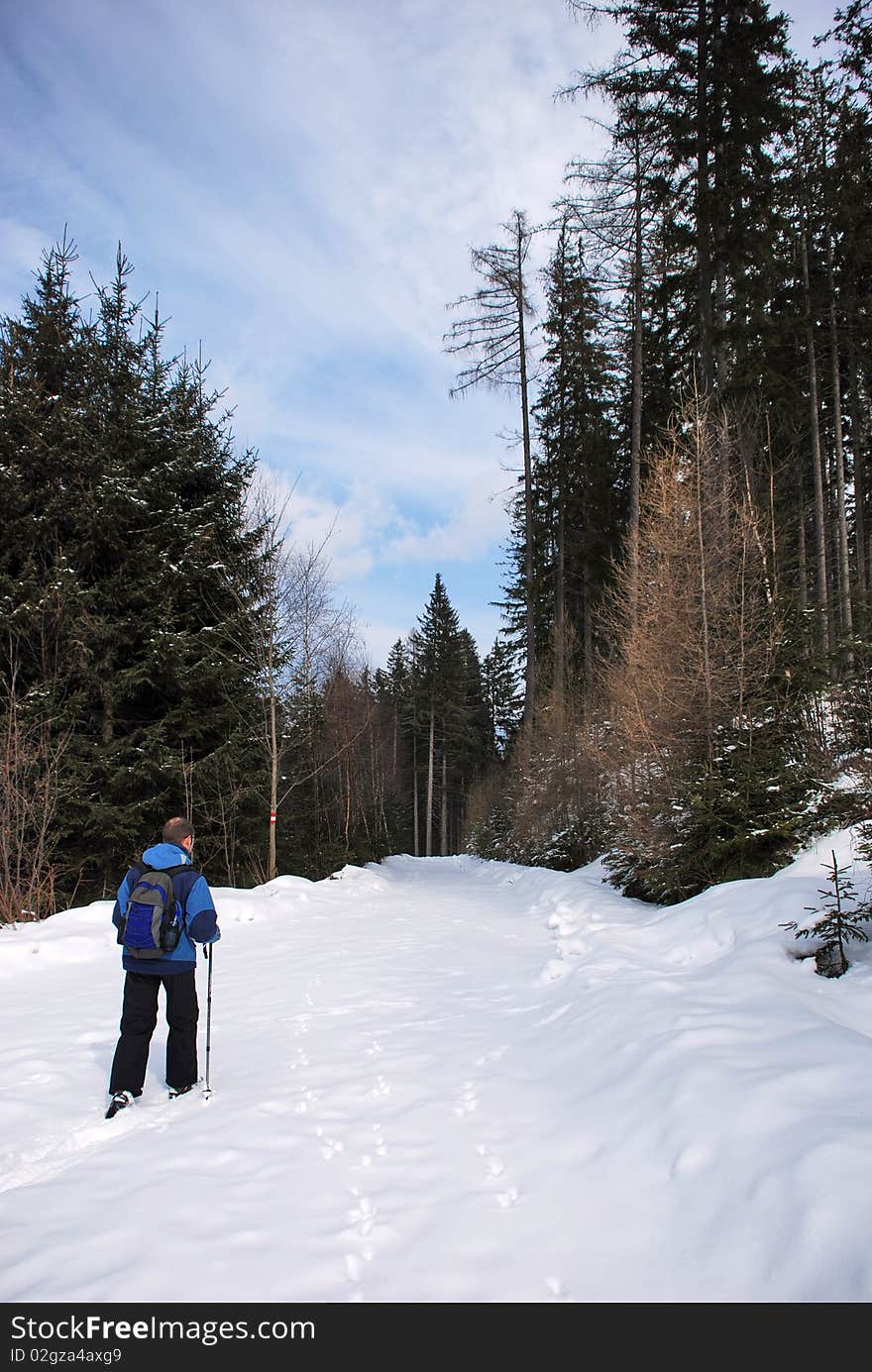 Man following deer prints in the forest. Man following deer prints in the forest