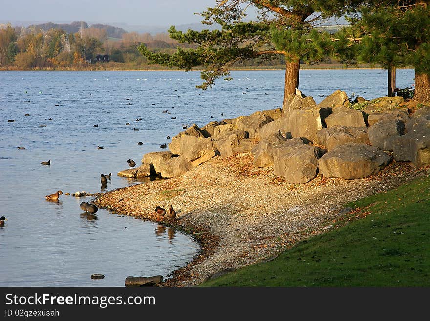 Lakeside scene