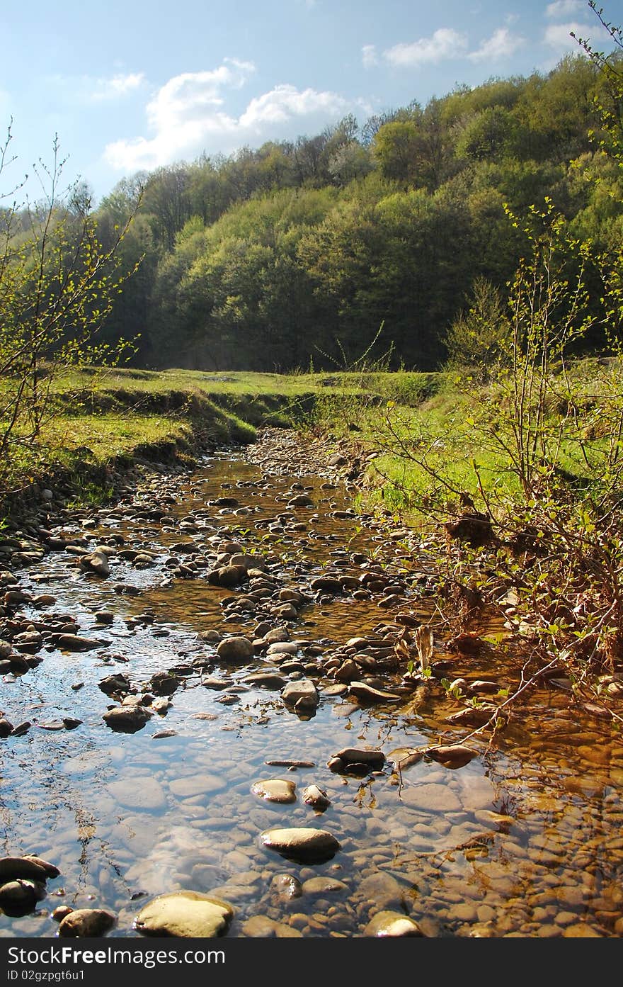 Rocky bed of little river in springtime