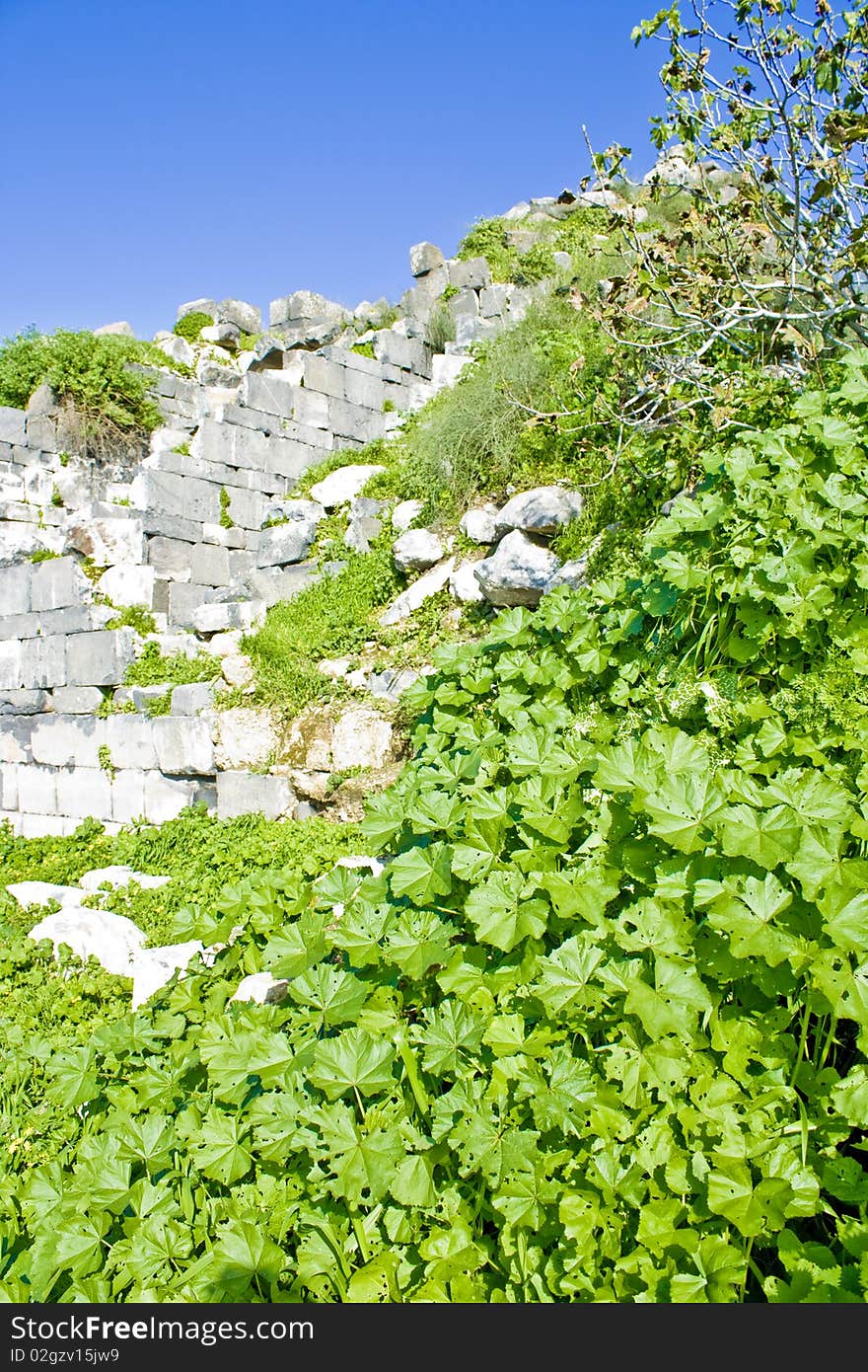 Photo of a green plants surrounding the historical ruins of an ancient byzantine civilization in Um-Qais - Jordan. Photo of a green plants surrounding the historical ruins of an ancient byzantine civilization in Um-Qais - Jordan