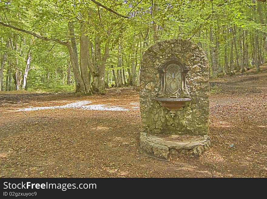 Fountain in the forest, Abruzzo, Italy