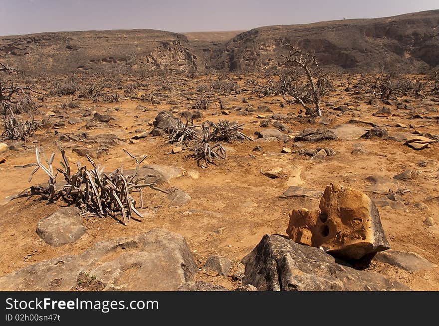 Tayq cave, Oman