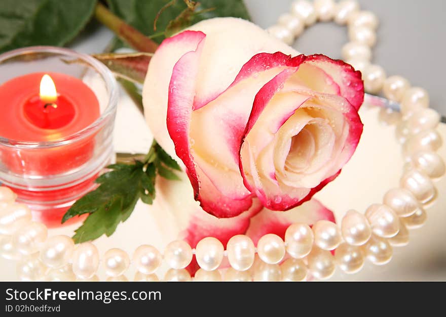 Fine rose, pearls and burning candle. Fine rose, pearls and burning candle