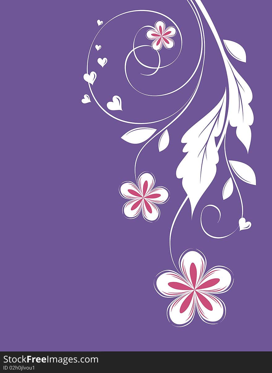 White flower branch on purple background. White flower branch on purple background