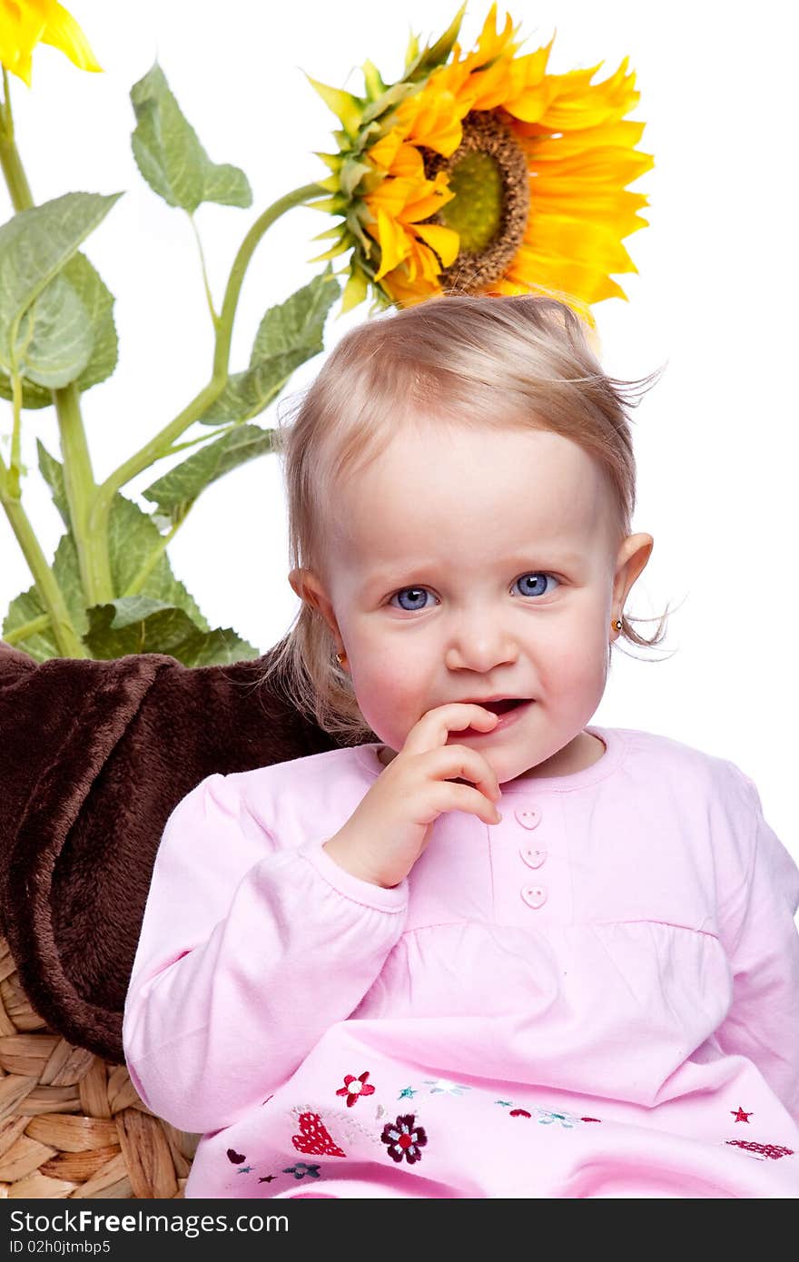 Baby girl with sunflower on white