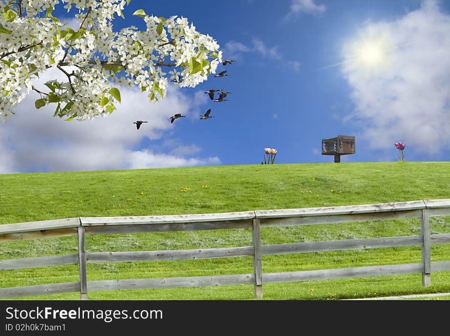 Spring day at the park with barbecue, flowers, and hill in the foreground. Sun, geese, and sky in the background. Spring day at the park with barbecue, flowers, and hill in the foreground. Sun, geese, and sky in the background.