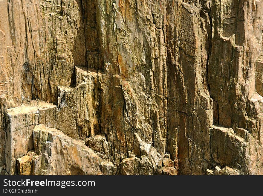 Surface of fossil wood, shown as featured texture, light and shadow, character and color. Surface of fossil wood, shown as featured texture, light and shadow, character and color.