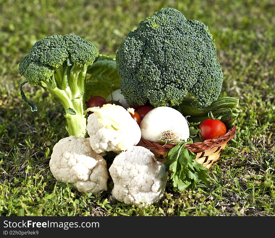 Different vegetables freshly picked from the garden and laid on the grass. Different vegetables freshly picked from the garden and laid on the grass