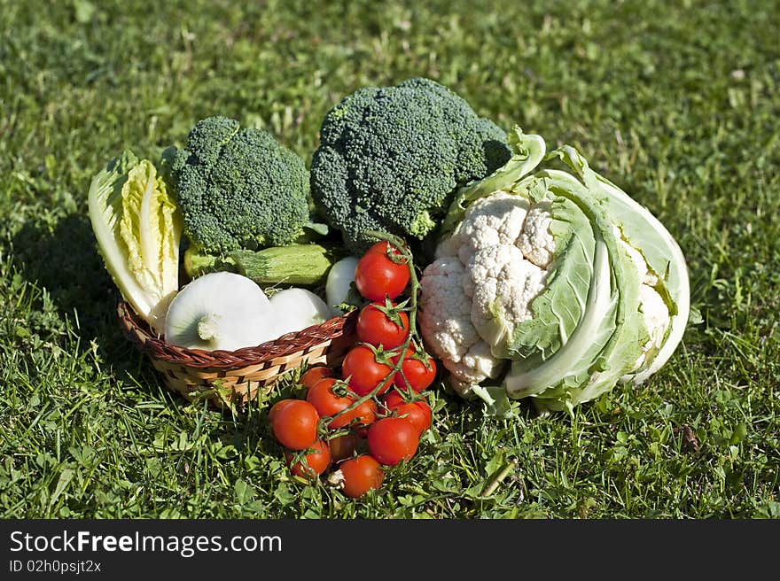 Different vegetables freshly picked from the garden and laid on the grass. Different vegetables freshly picked from the garden and laid on the grass