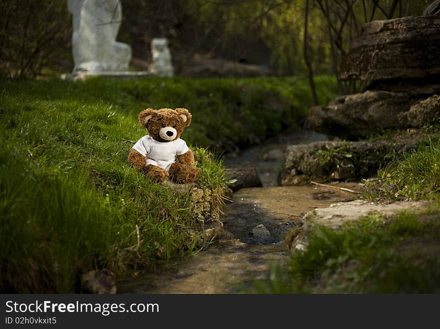 Teddy bear near a river