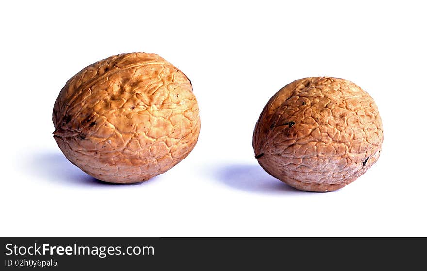 Two walnuts rich in oil and other minerals. Two walnuts rich in oil and other minerals