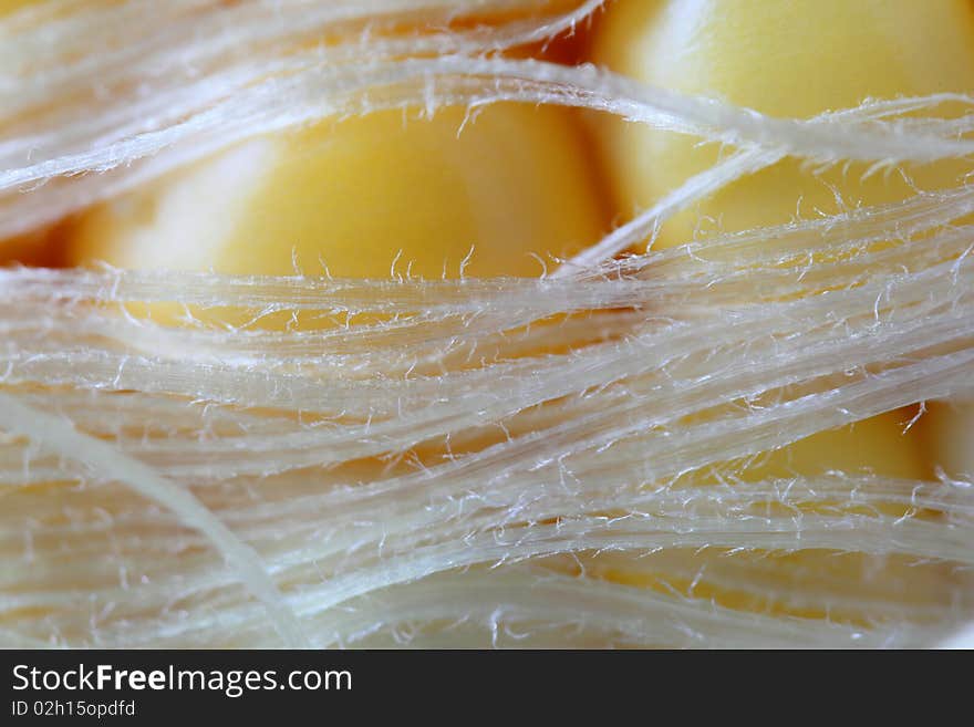 Sweet corn silk: Extreme Close up