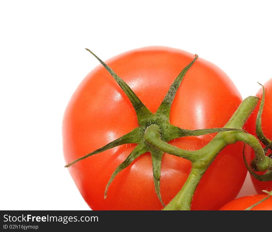 Tomato isolated on white with clipping path and copy-space