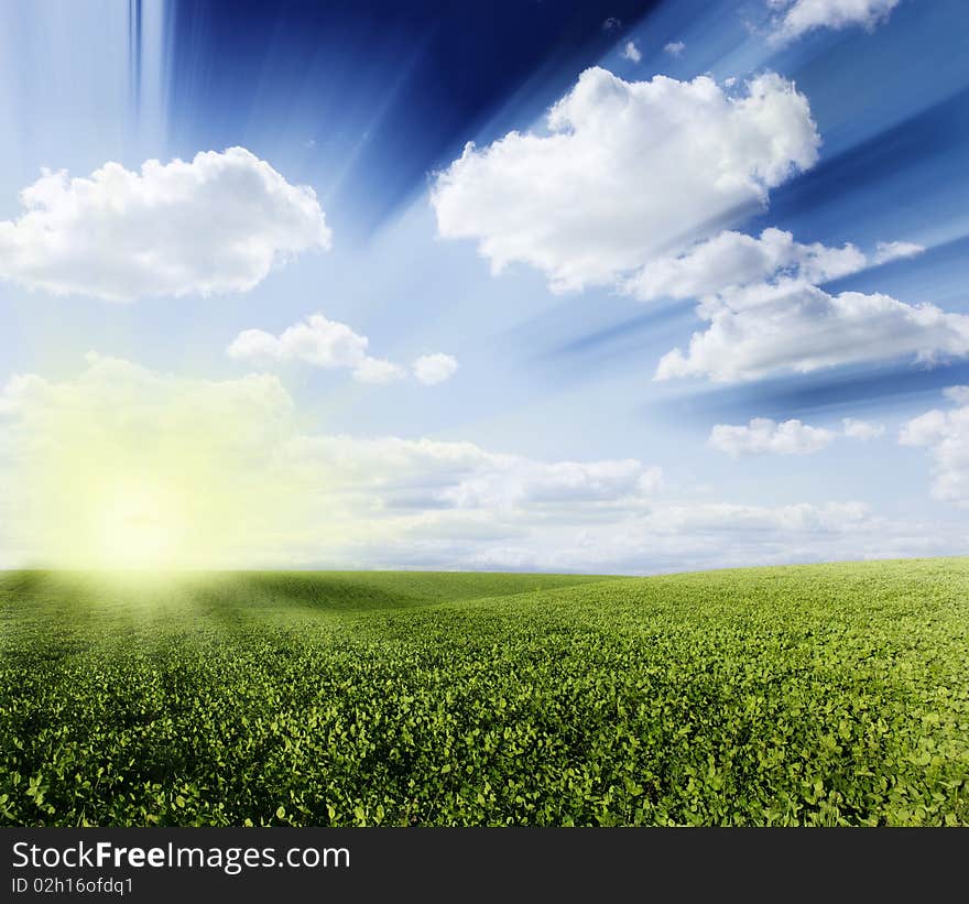 Green meadow under blue sky with clouds. Green meadow under blue sky with clouds