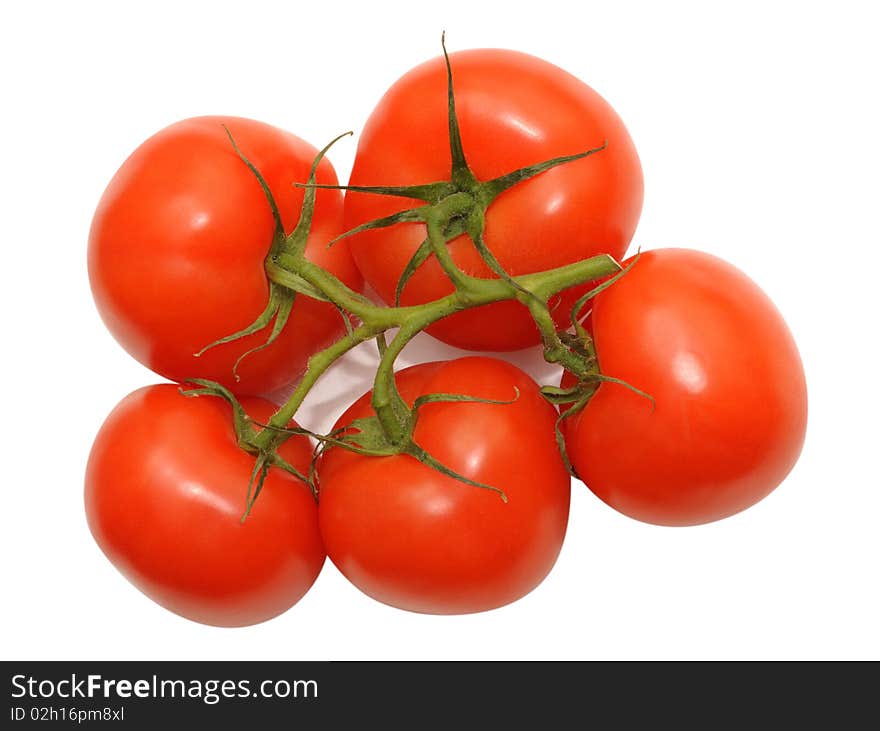 Bunch of fresh tomatoes