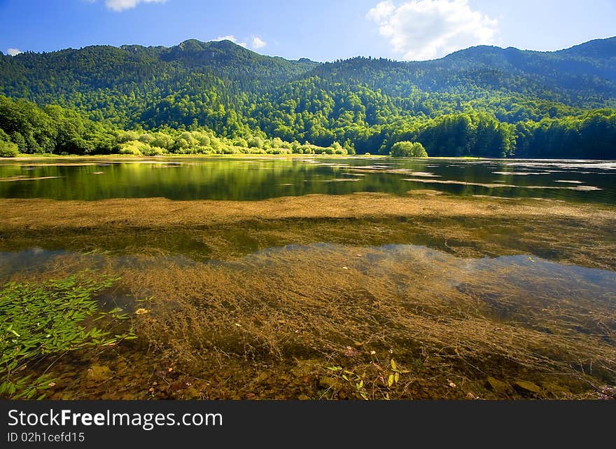 The Biogradsko lake in Montenegro during summer season. The Biogradsko lake in Montenegro during summer season.