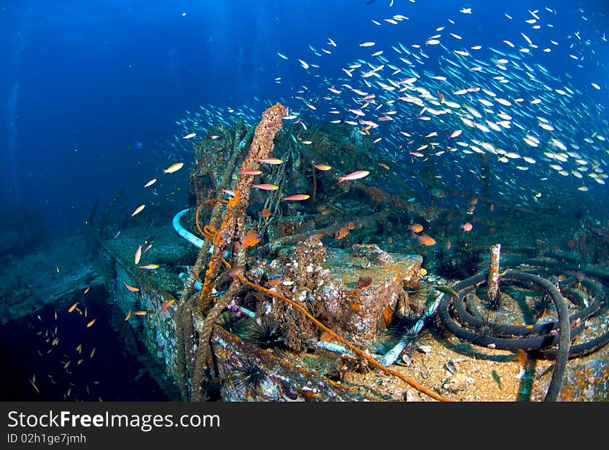 King Cruiser Wreck in PP Island, Thailand.