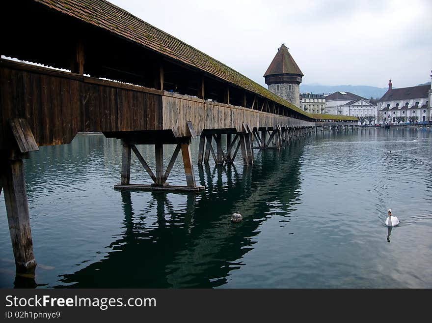 Wooden Bridge With Birds