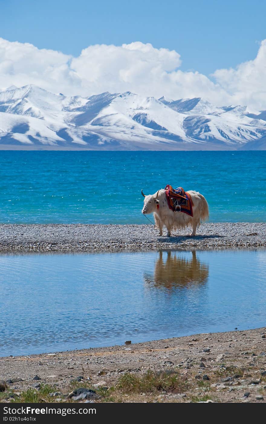 Scenery of mountains and lakes in Tibet. Scenery of mountains and lakes in Tibet