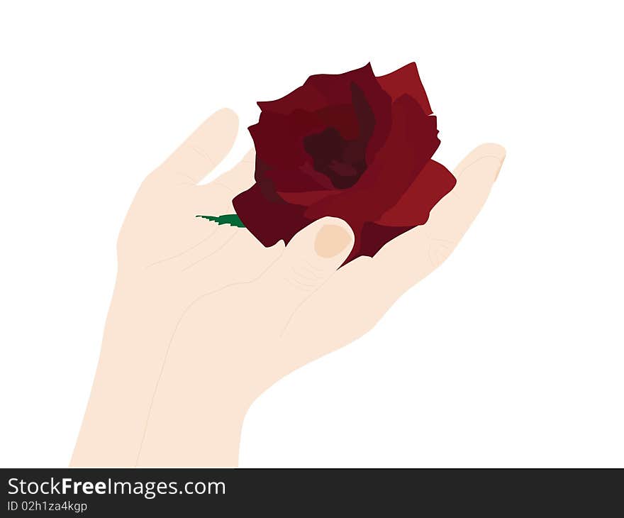 Hands with rose