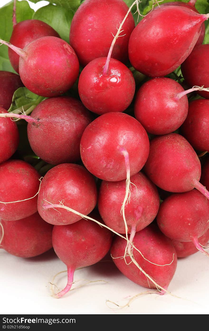 Fresh radishes