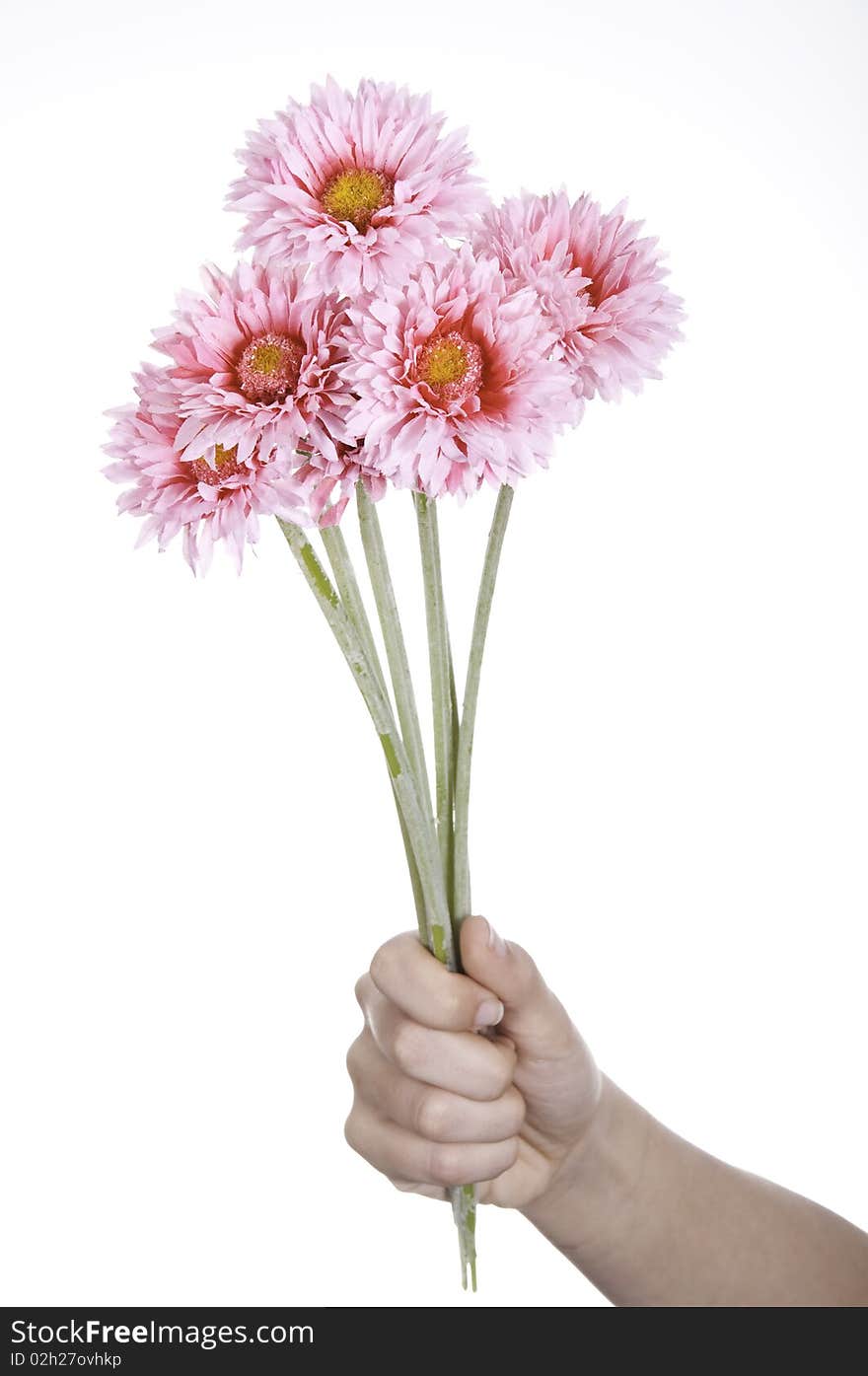 This image shows a flower, delivered by a person, as a symbol of reconciliation between two people. This image shows a flower, delivered by a person, as a symbol of reconciliation between two people