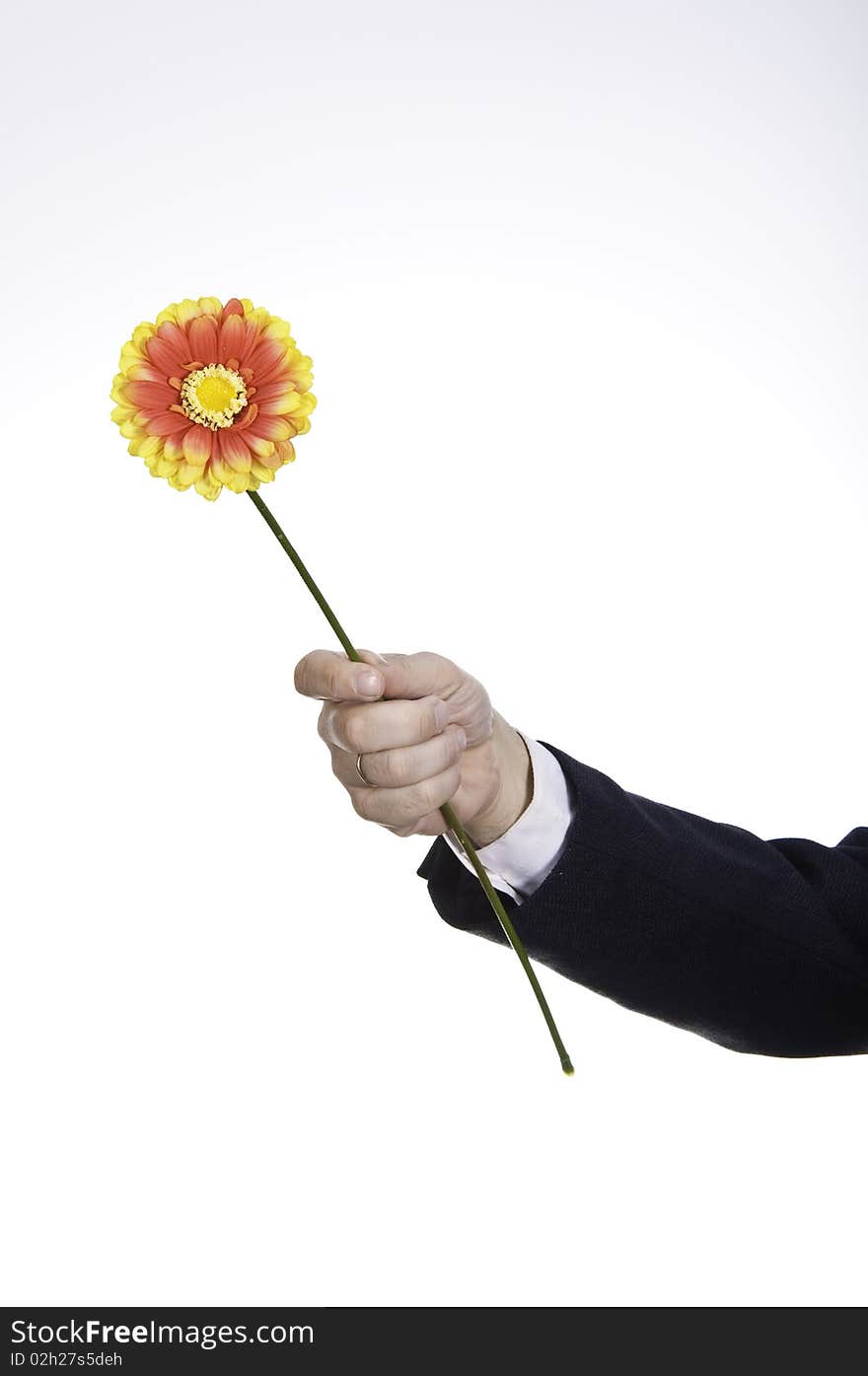 This image shows a flower, delivered by a person, as a symbol of reconciliation between two people. This image shows a flower, delivered by a person, as a symbol of reconciliation between two people