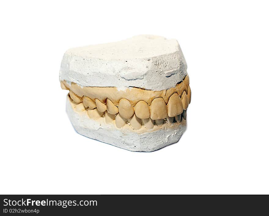 False Plaster Teeth