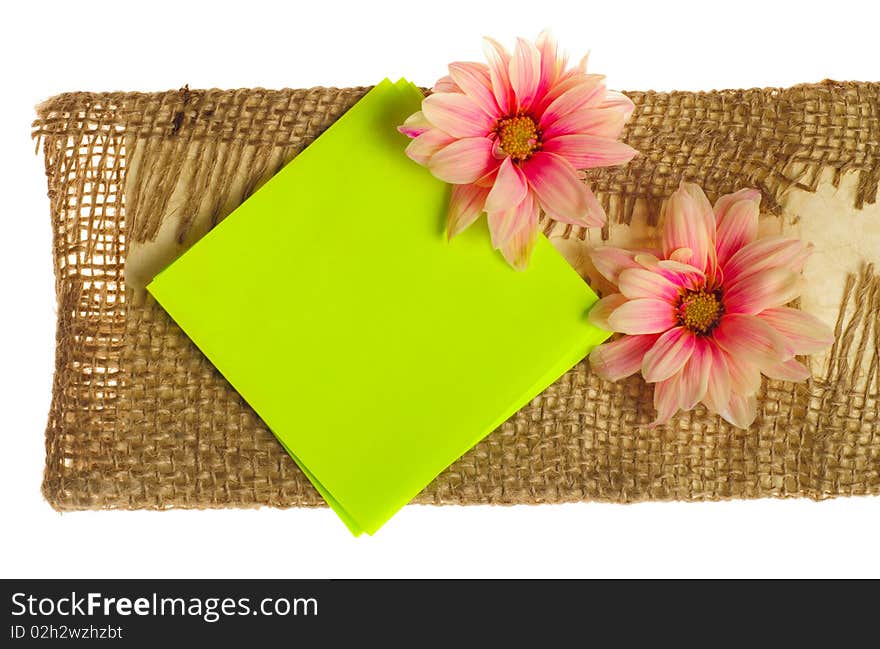 Stickers with flowers and petals with copy space isolated on white