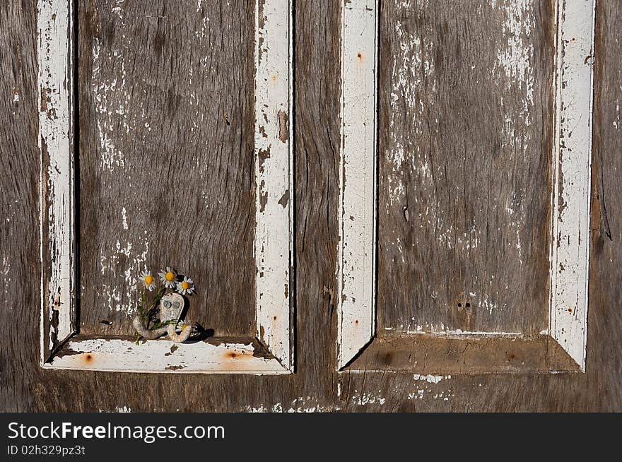 Old ragged painted with white paint Wooden door with daisies on a hook. Old ragged painted with white paint Wooden door with daisies on a hook