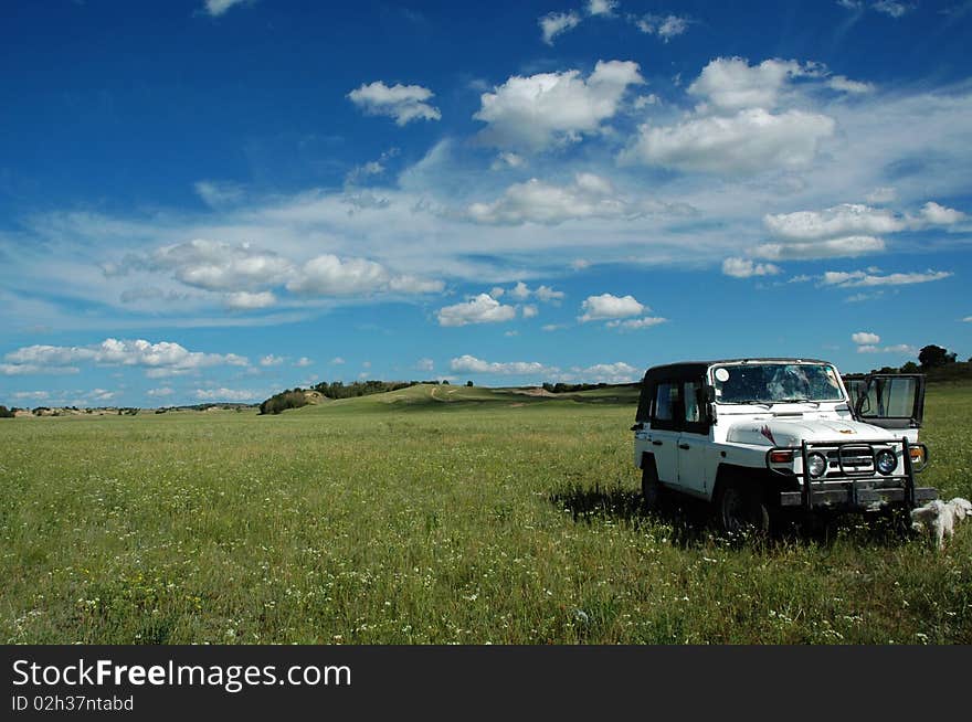 Beautiful vast prairie Baiyun were blossoming