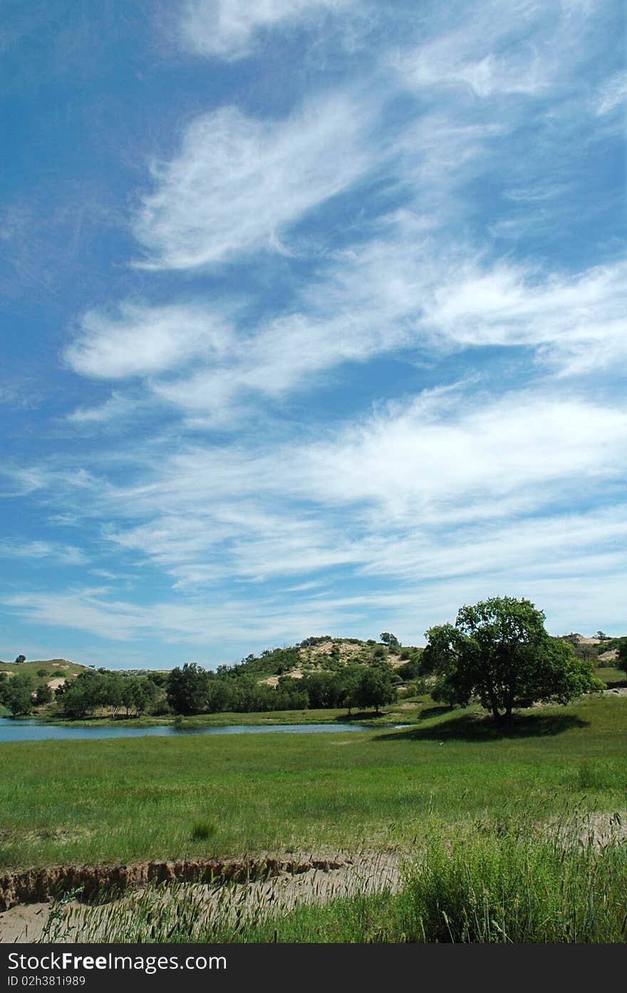 Beautiful vast prairie Baiyun were blossoming