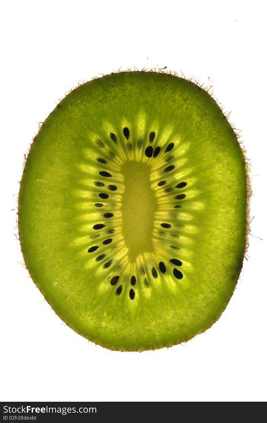 Kiwi fruit over a white background