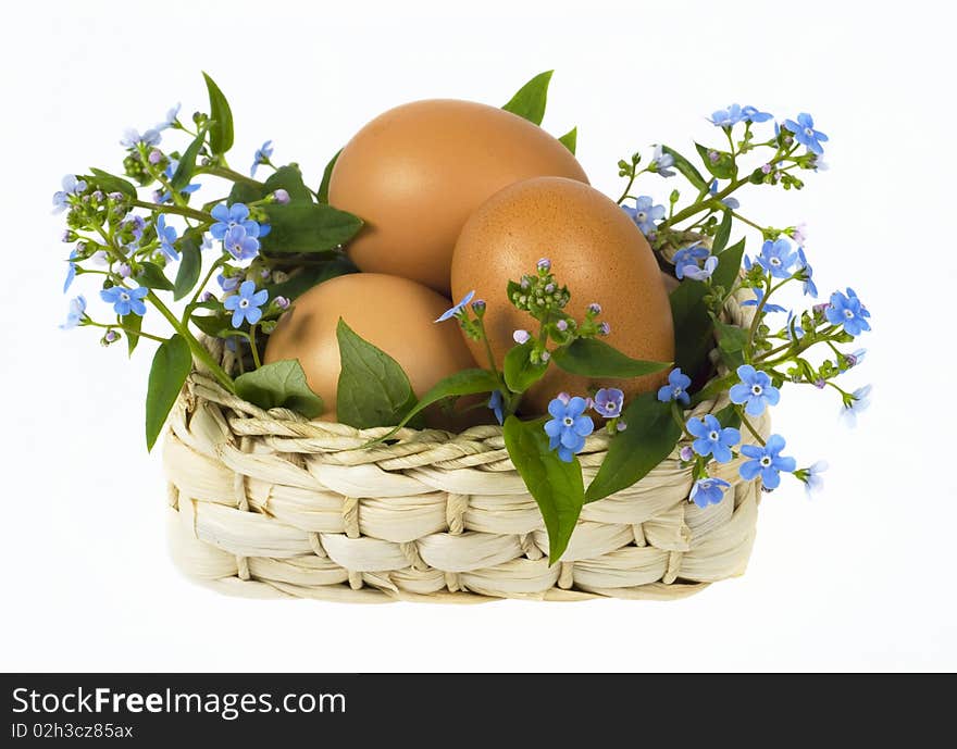 Eggs lie in basket with branch of forget-me-nots on white background