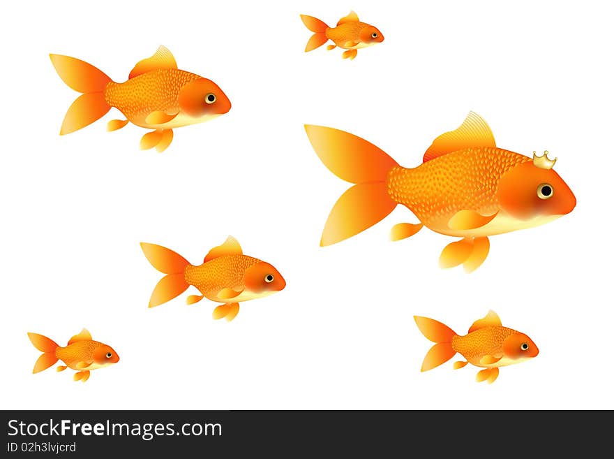 Goldfishes. Vector