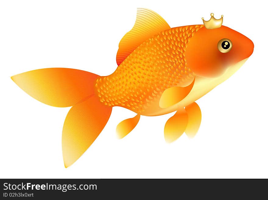 Goldfish. Vector