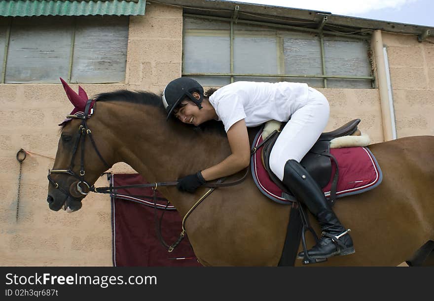 A pretty girl with a brown horse for sport. A pretty girl with a brown horse for sport