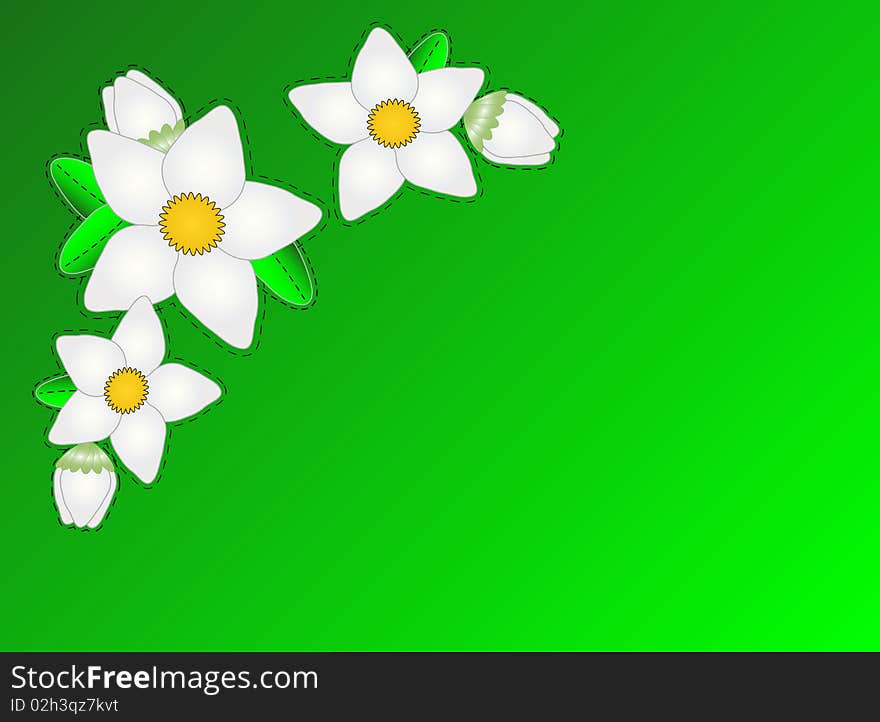 Vector Eps10.  Green Copy Space with White Flowers