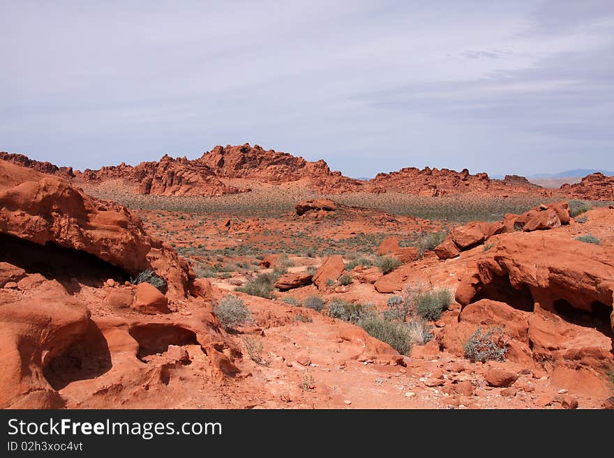 Desert landscape