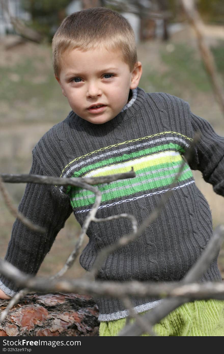 Little boy playing on a tree trunk in the woods