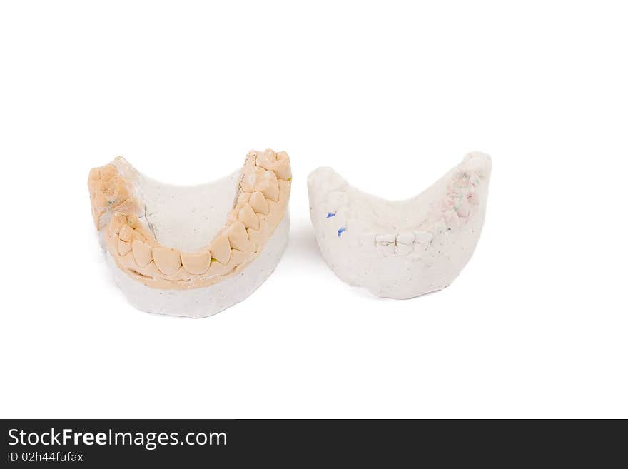 Teeth plaster cast. Close up on white background